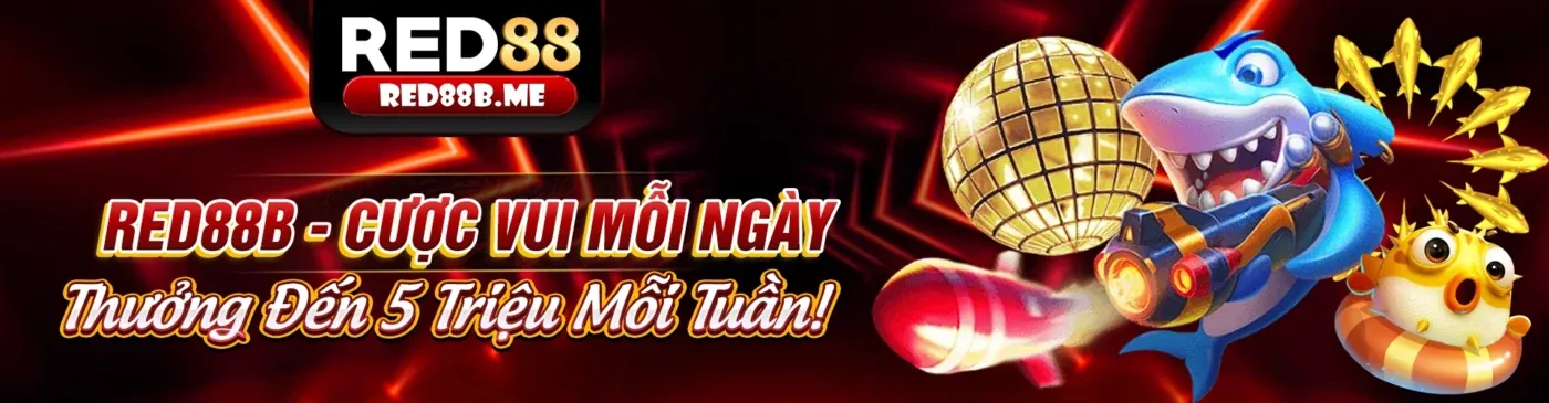 Hình ảnh chính blog Tin1XBET Win