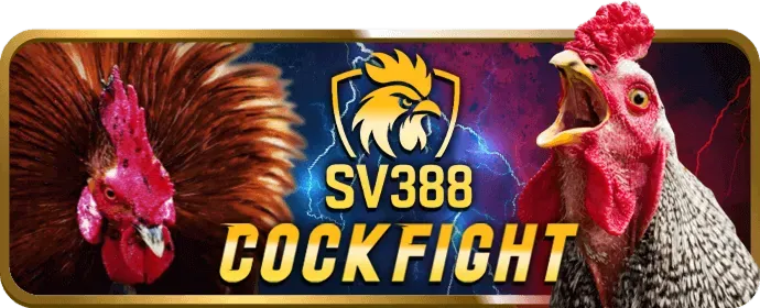 Cá cược thể thao tại tin1xbetvi win